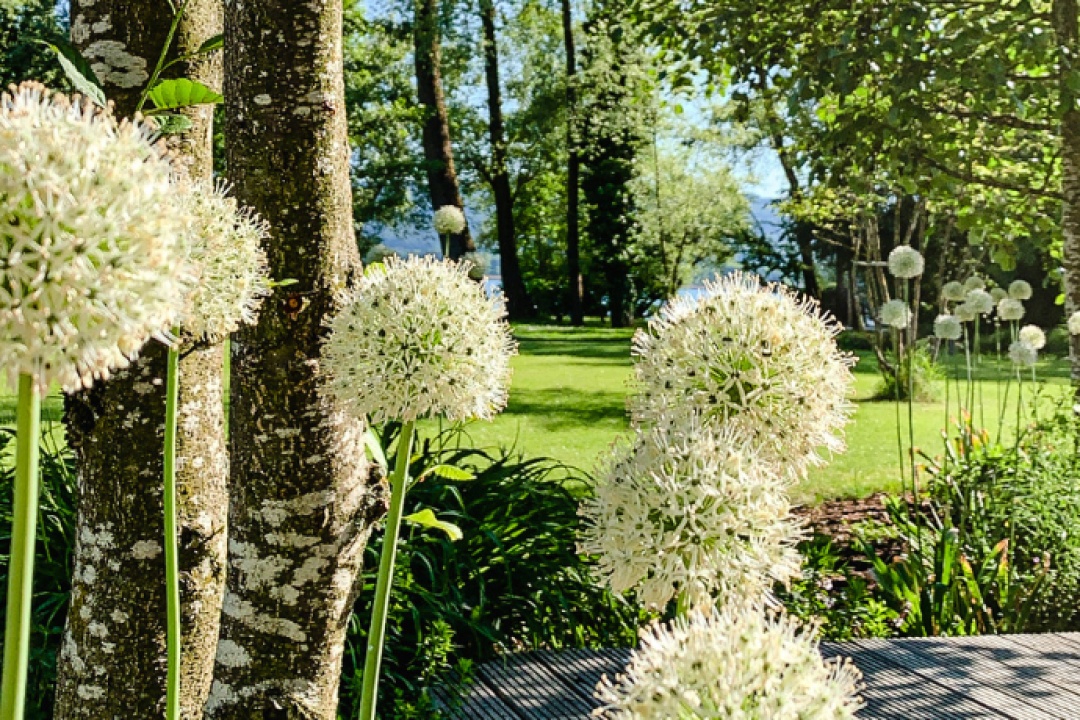 Bild für Gutscheine